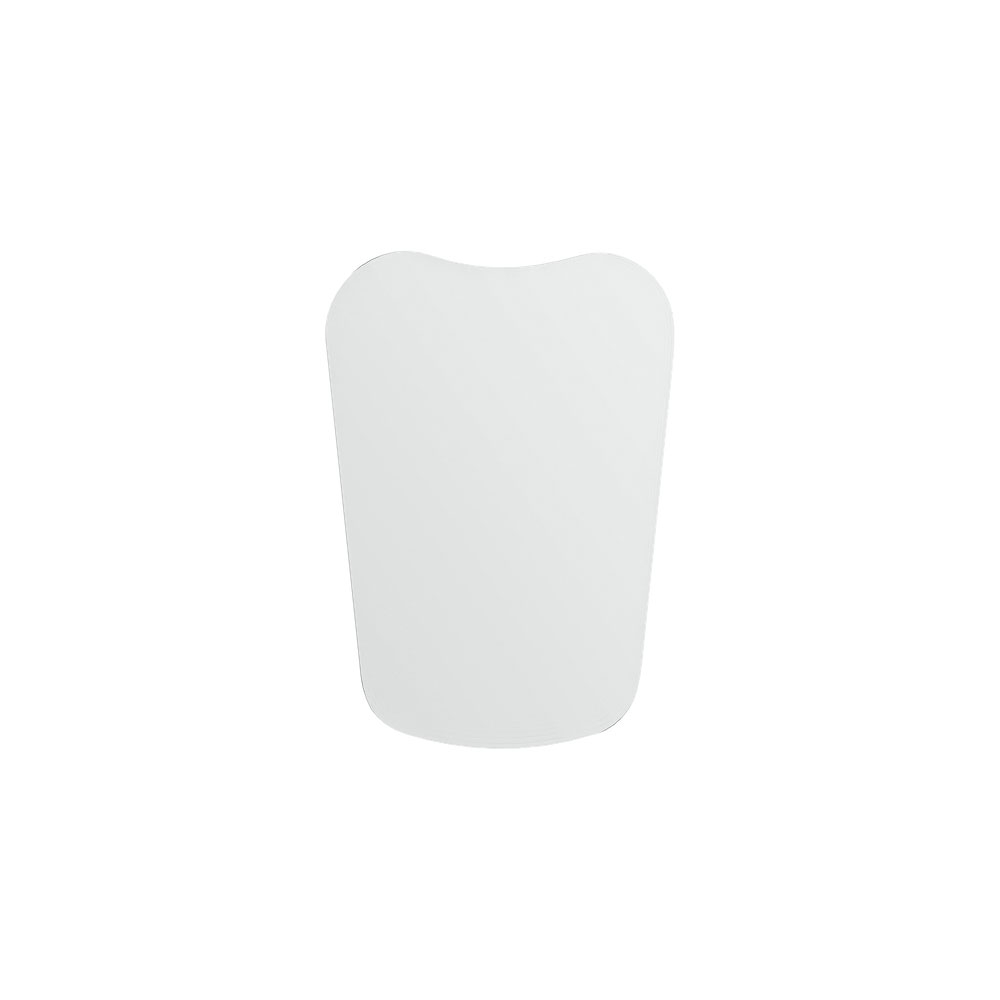 Photographic Mirror